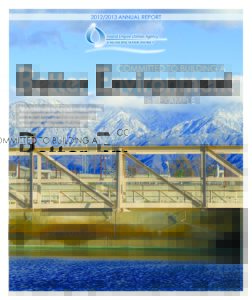 2013 Annual Report Cover Page