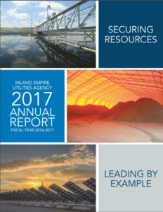 2017 Annual Report Cover Page