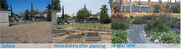 garden transition from before to after planting and 1 year later