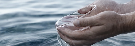 Water in cup