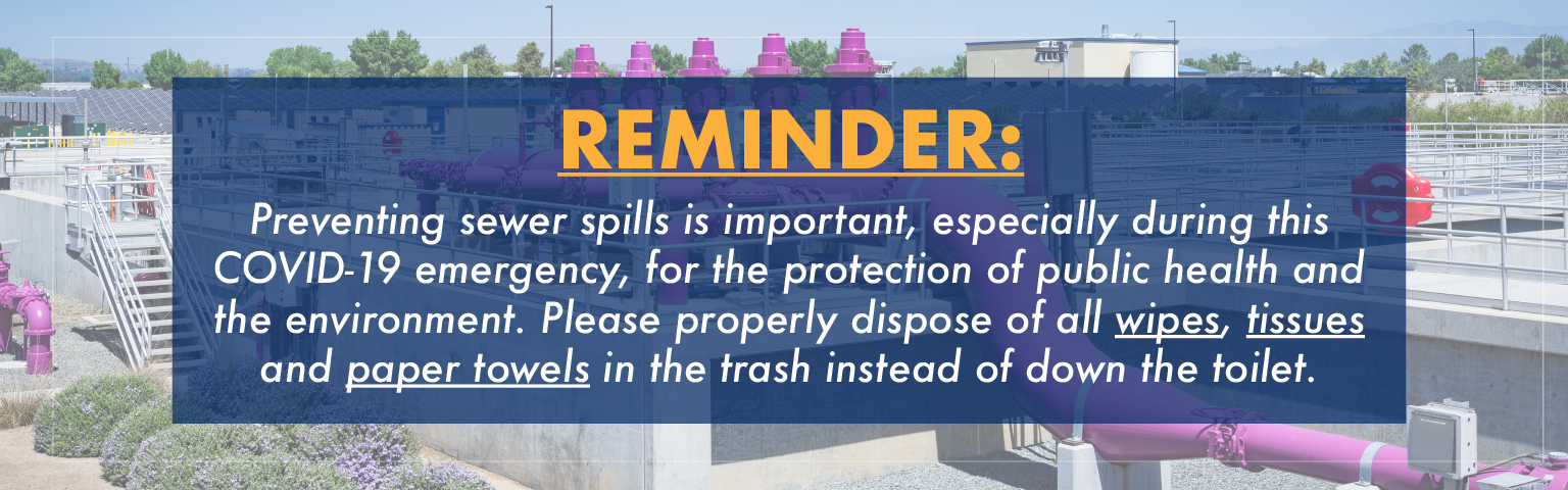 Please dispose of all wipes, tissues, and paper towels in the trash instead of down the toilet.