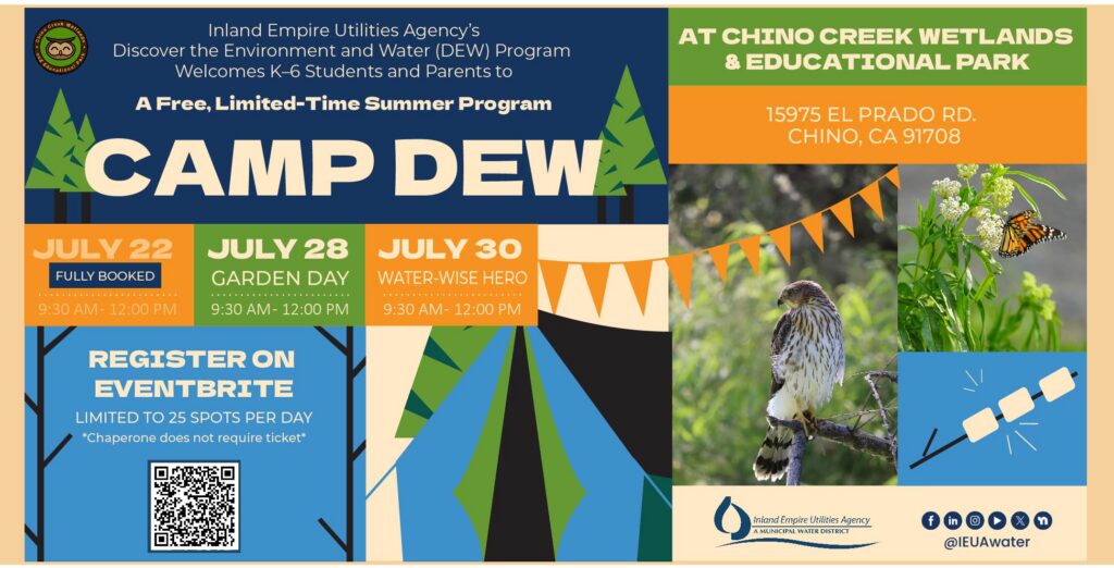 Camp DEW_Eventbrite Banner