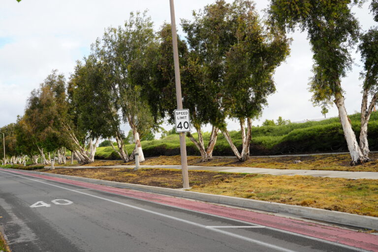 Fairfield Ranch Trail before turf transformation