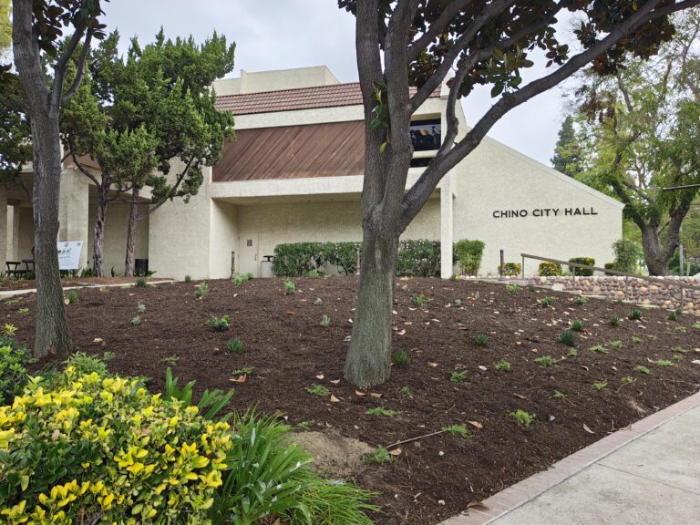 Chino City Hall after turf transformation
