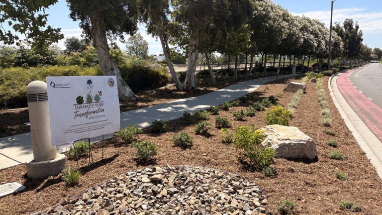 Fairfield Ranch Trail after turf transformation