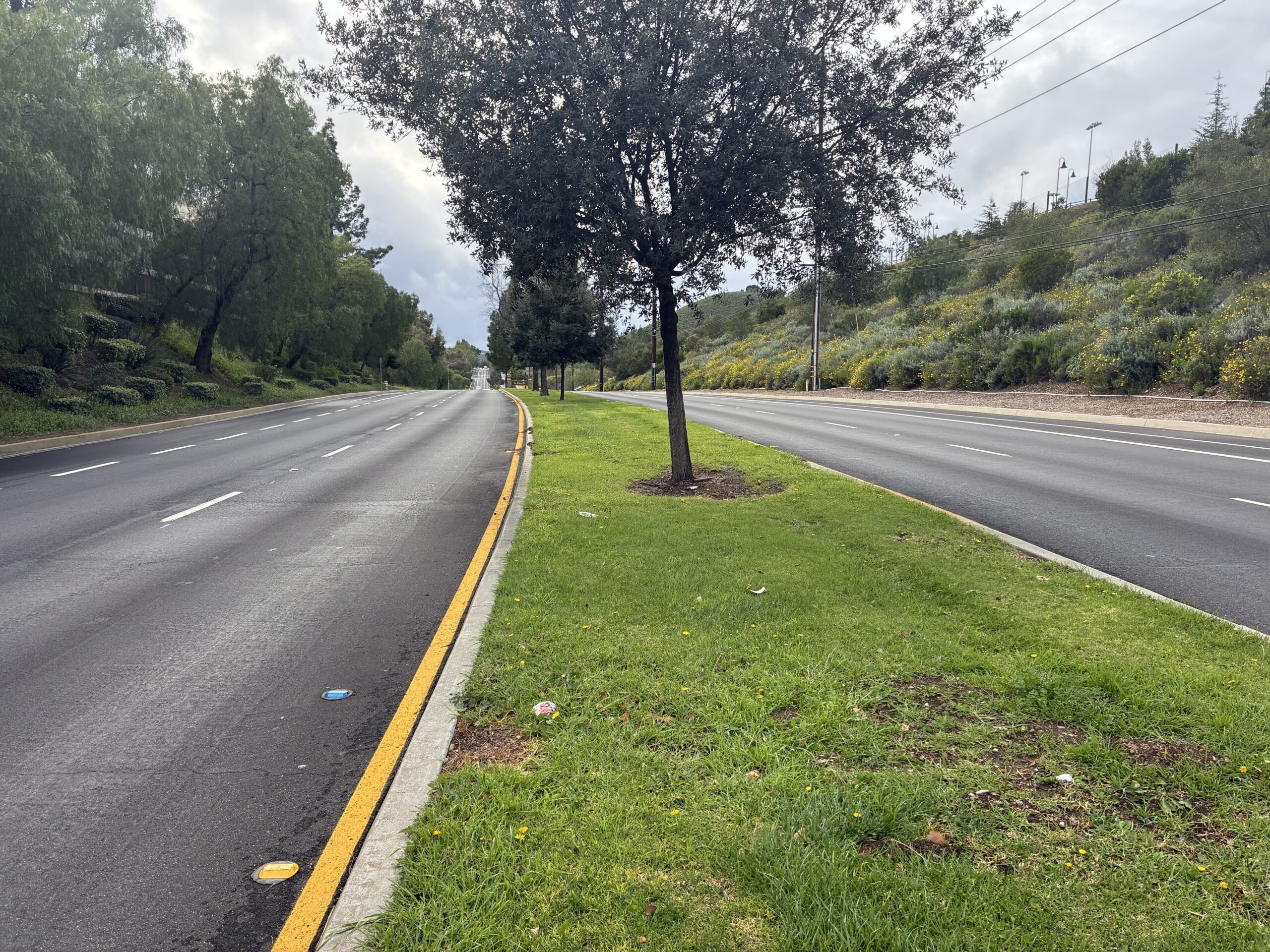 Agoura Road Medians before turf transformation