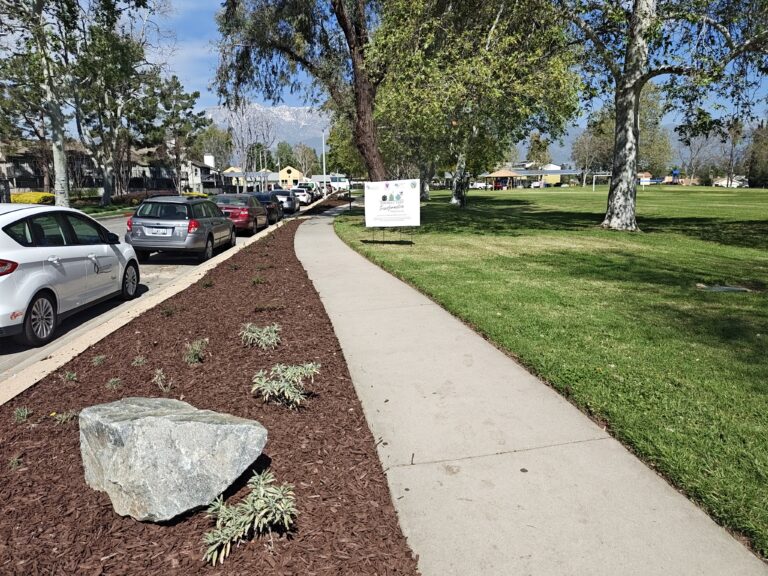 Bear Gulch Park after turf transformation