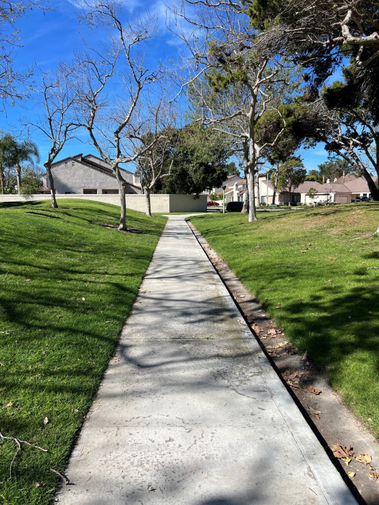Moranda Park before turf transformation