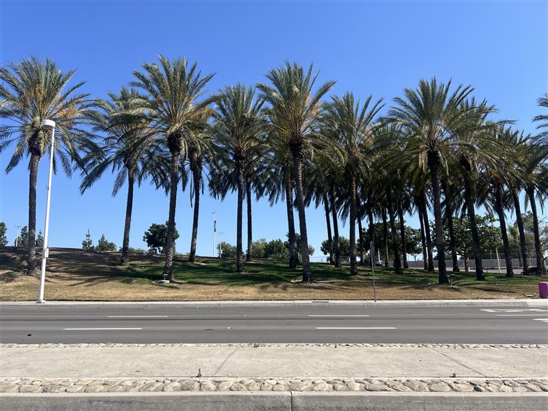 Ontario International Airport before turf transformation