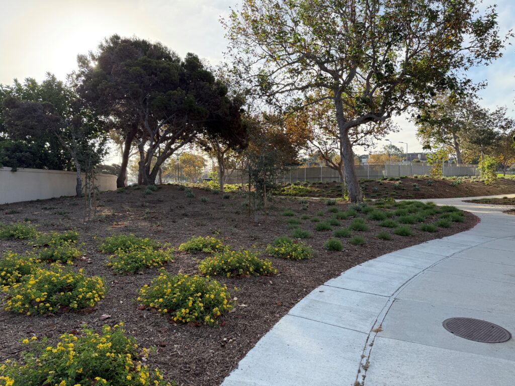 Moranda Park transformed landscape