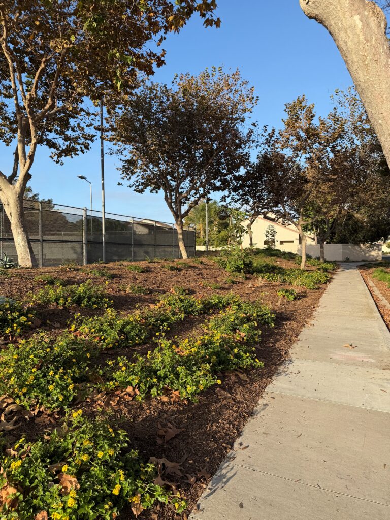 Moranda Park transformed landscape