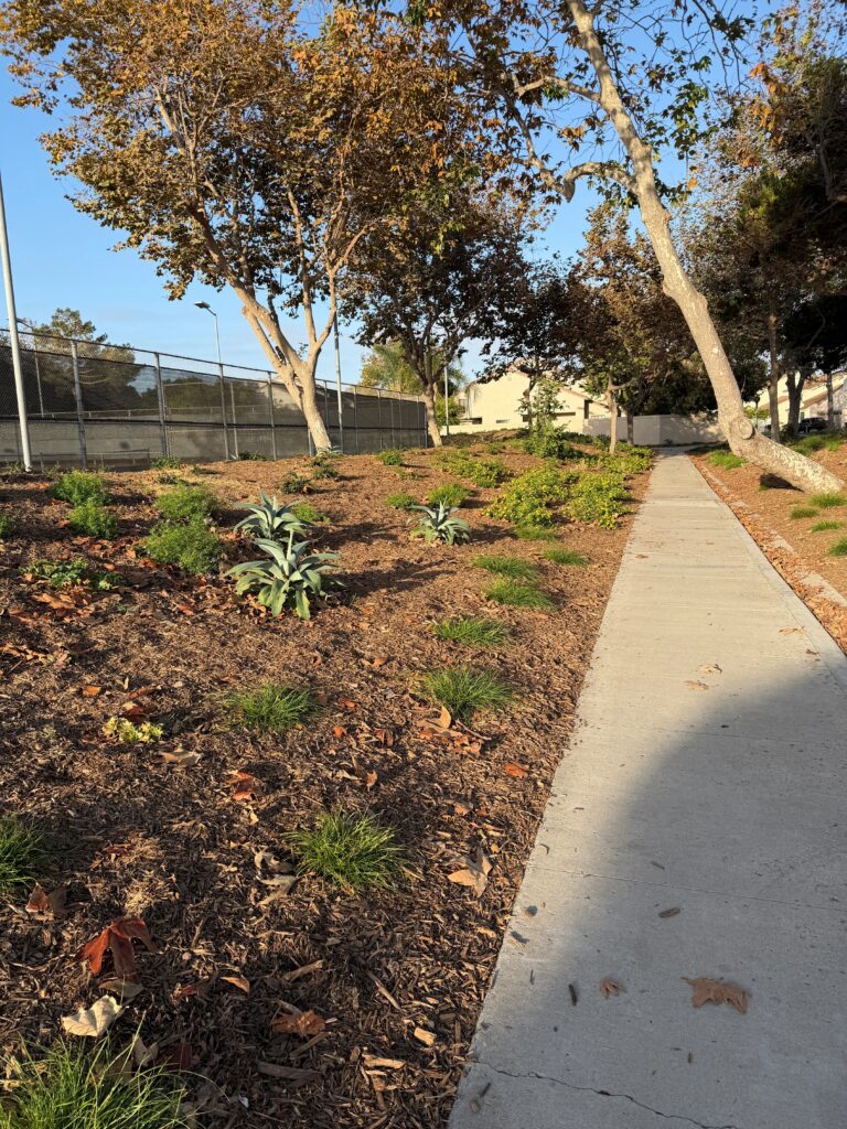 Moranda Park after turf transformation