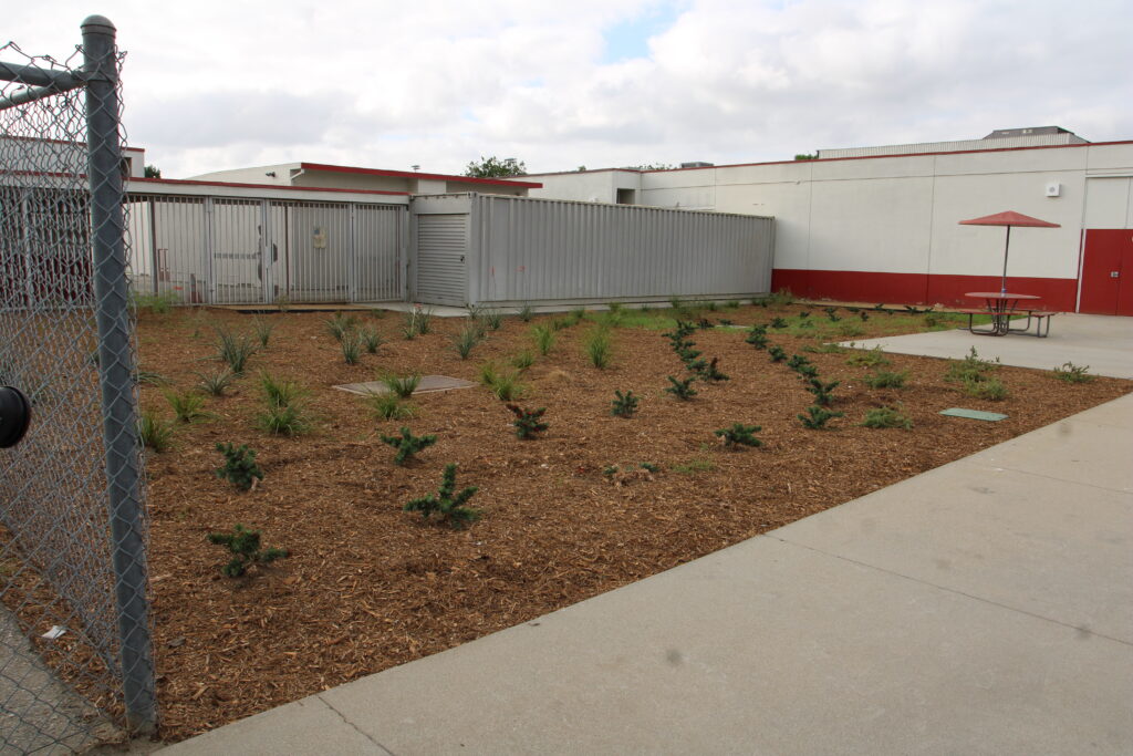 Sierra Vista High School after turf transformation