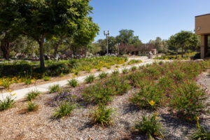 Simi Valley City Hall transformed landscape