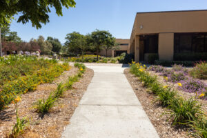 Simi Valley City Hall transformed landscape