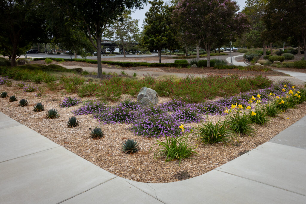 Simi Valley City Hall after turf transformation