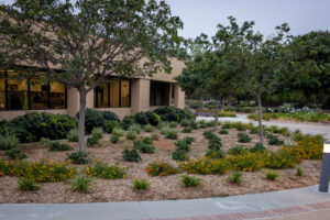 Simi Valley City Hall after turf transformation