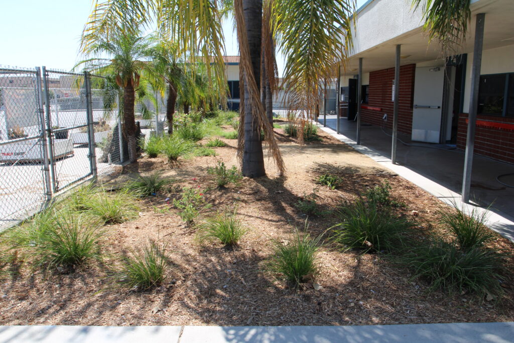 Tracy Elementary after turf transformation