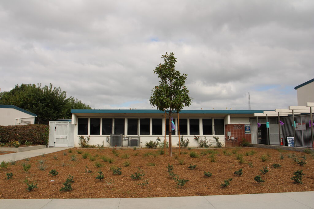 Vineland Elementary School after turf transformation