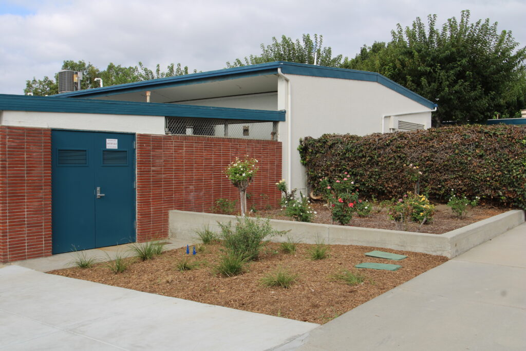 Vineland Elementary School after turf transformation