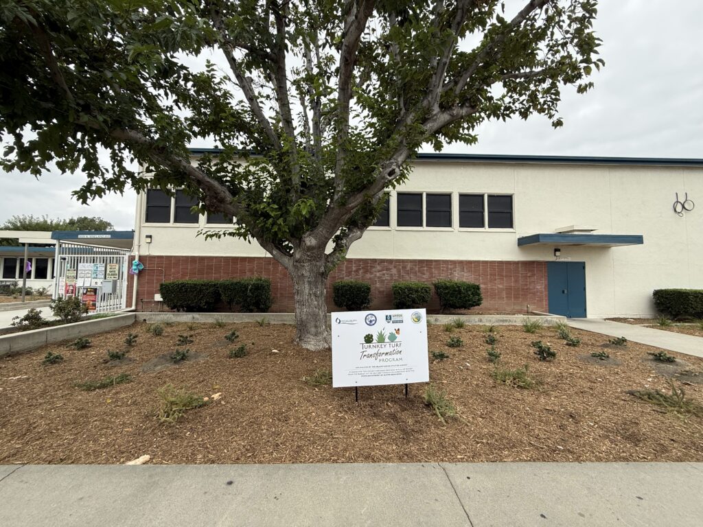Vineland Elementary School after turf transformation